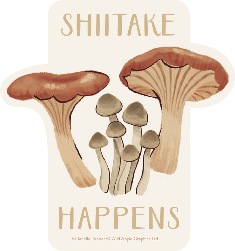 Group Of Mushrooms Sticker