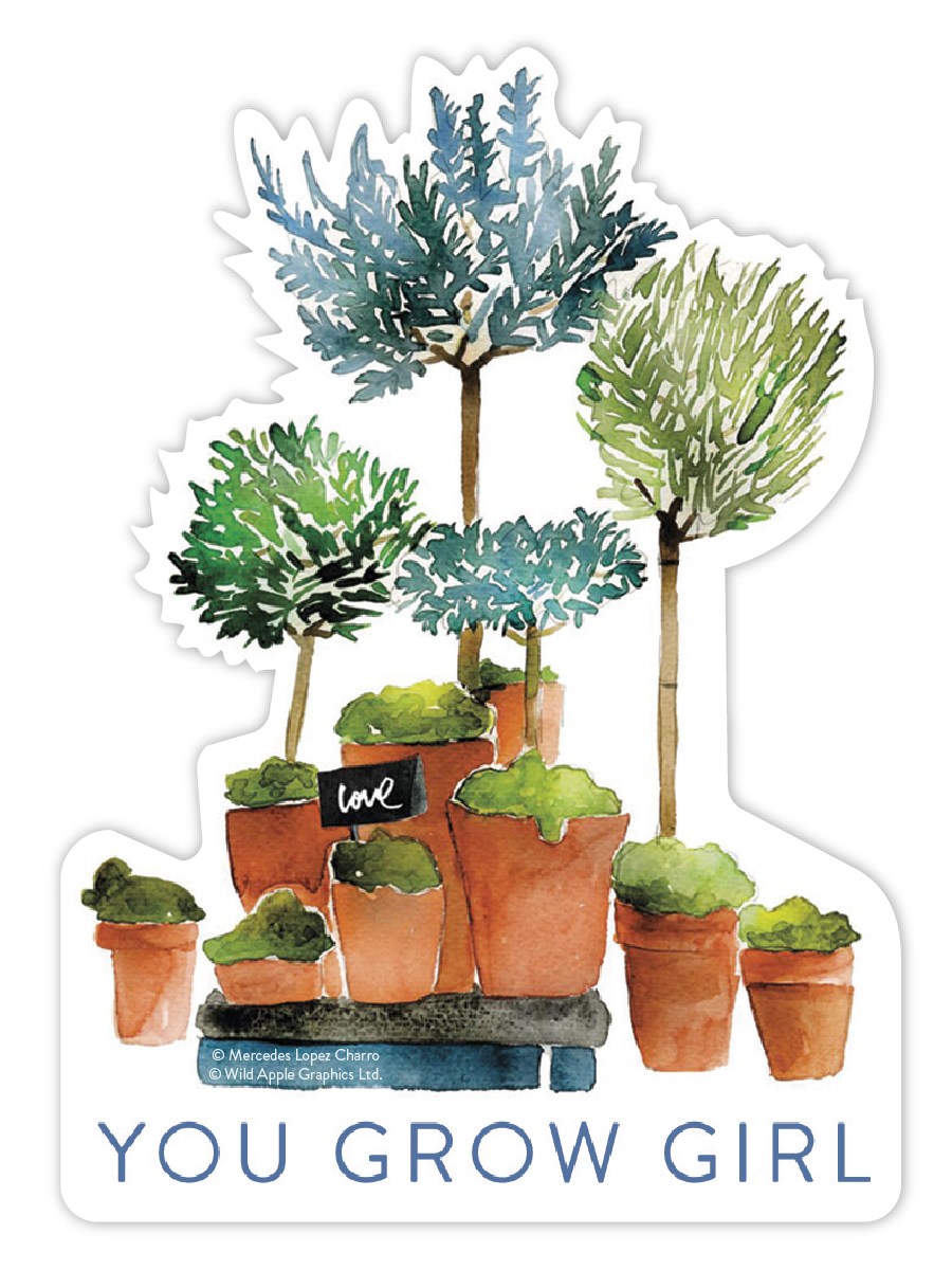 Blue And Green Plants In Terra Cotta Sticker