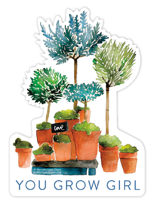 Blue And Green Plants In Terra Cotta Sticker