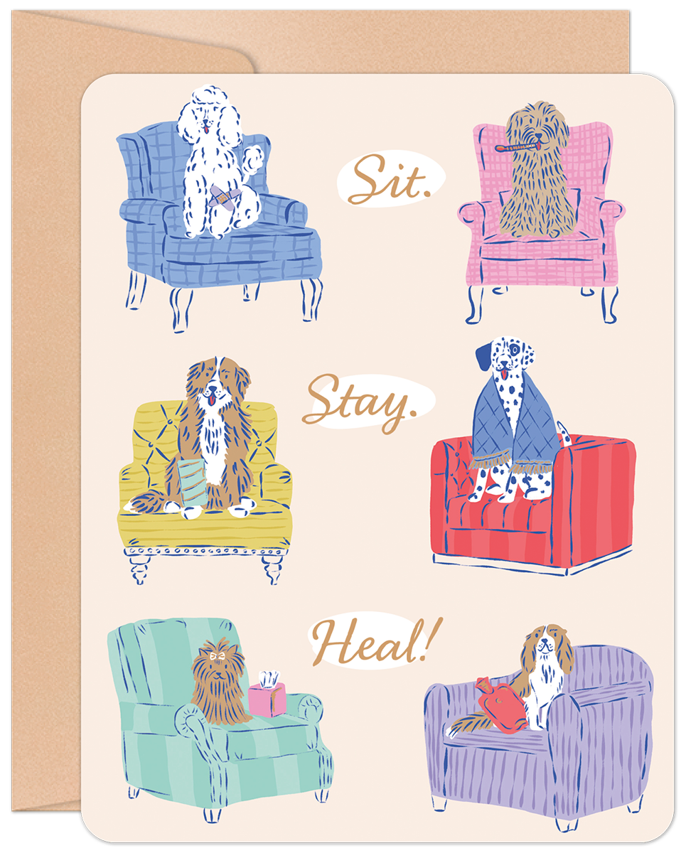 Sit. Stay. Heal! Get Well Card