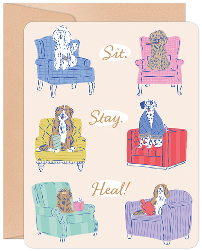 Sit. Stay. Heal! Get Well Card