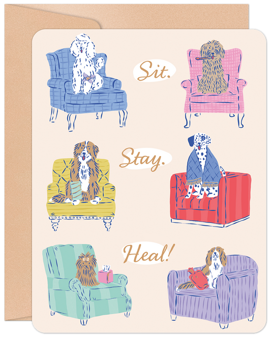 Sit. Stay. Heal! Get Well Card